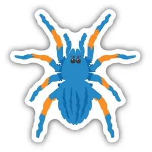 Blue Tarantula Sticker