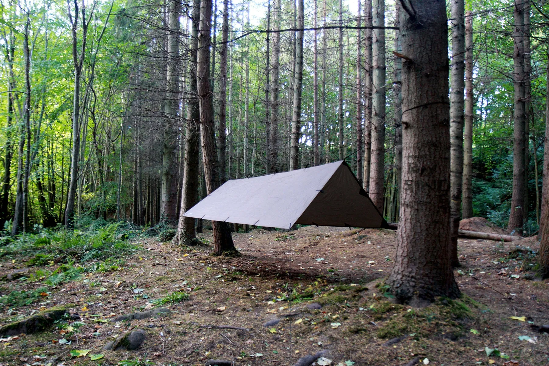 DD Hammocks Tarp M