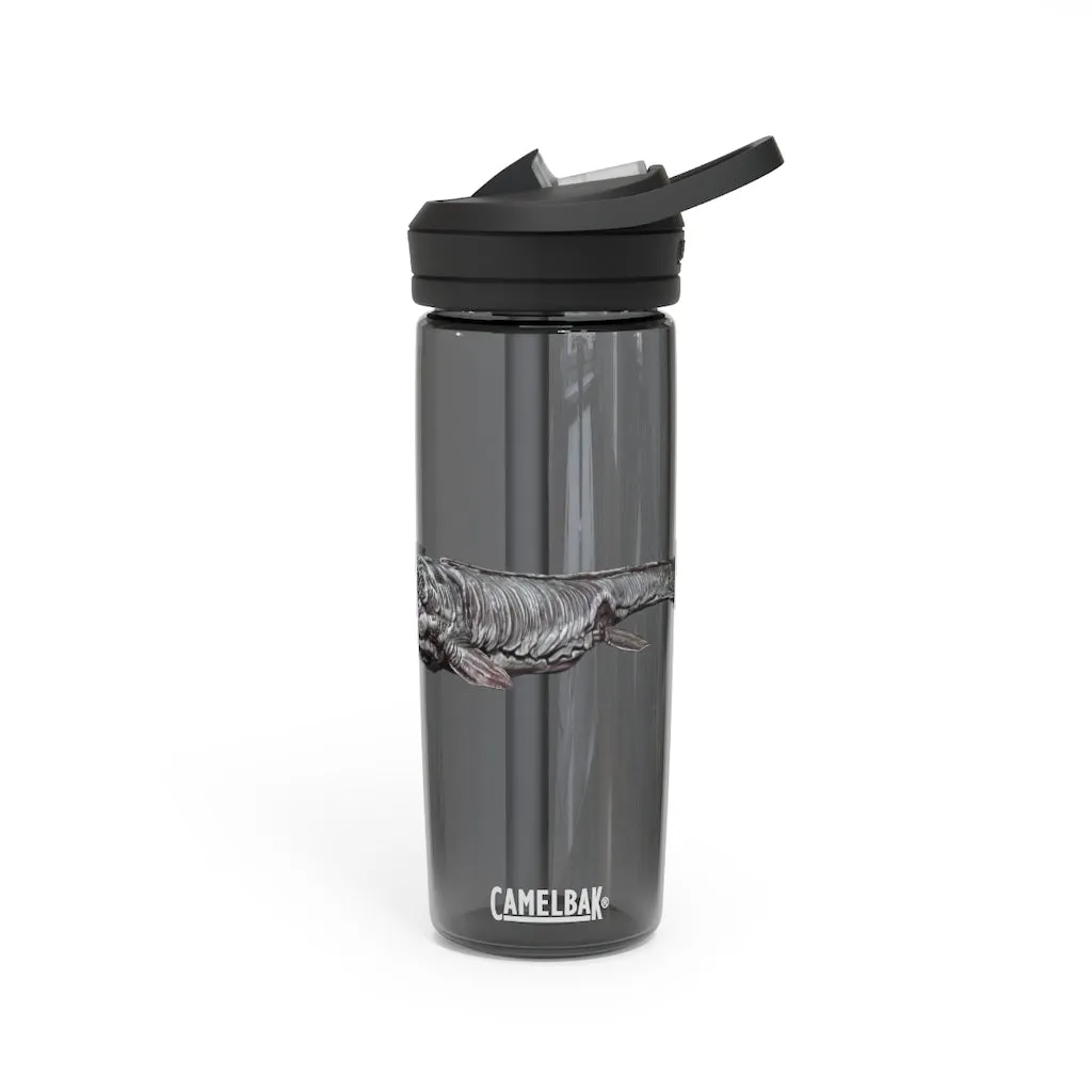 Dino Sea Creature CamelBak Eddy®  Water Bottle, 20oz / 25oz