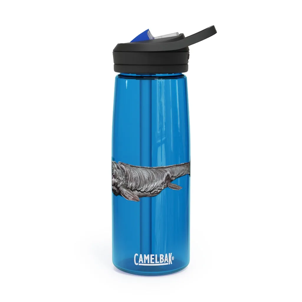 Dino Sea Creature CamelBak Eddy®  Water Bottle, 20oz / 25oz