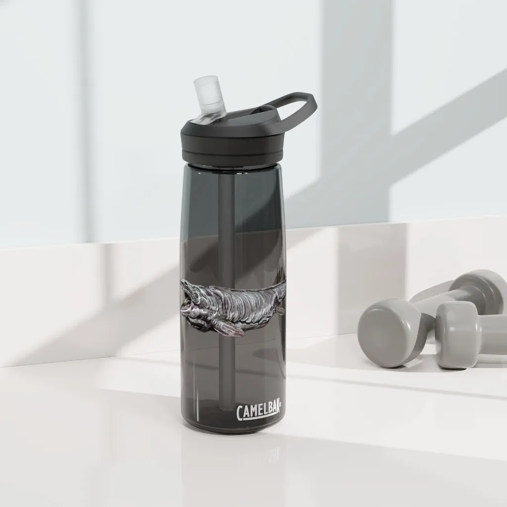 Dino Sea Creature CamelBak Eddy®  Water Bottle, 20oz / 25oz