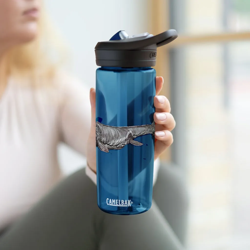 Dino Sea Creature CamelBak Eddy®  Water Bottle, 20oz / 25oz