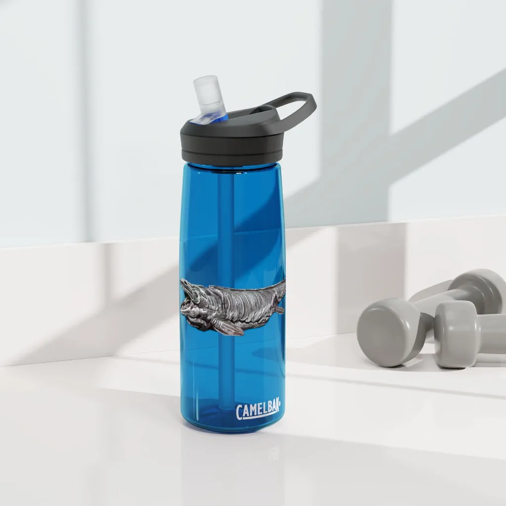 Dino Sea Creature CamelBak Eddy®  Water Bottle, 20oz / 25oz
