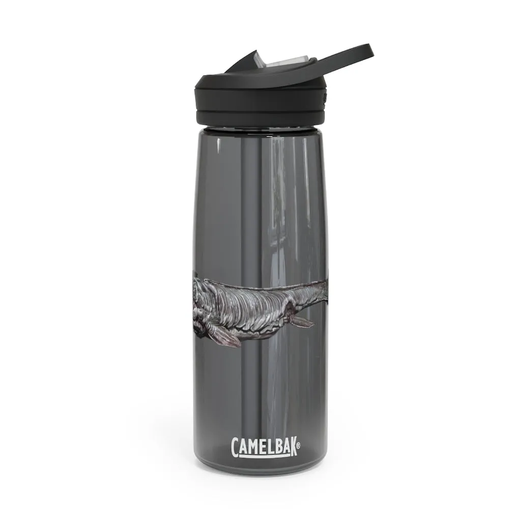 Dino Sea Creature CamelBak Eddy®  Water Bottle, 20oz / 25oz