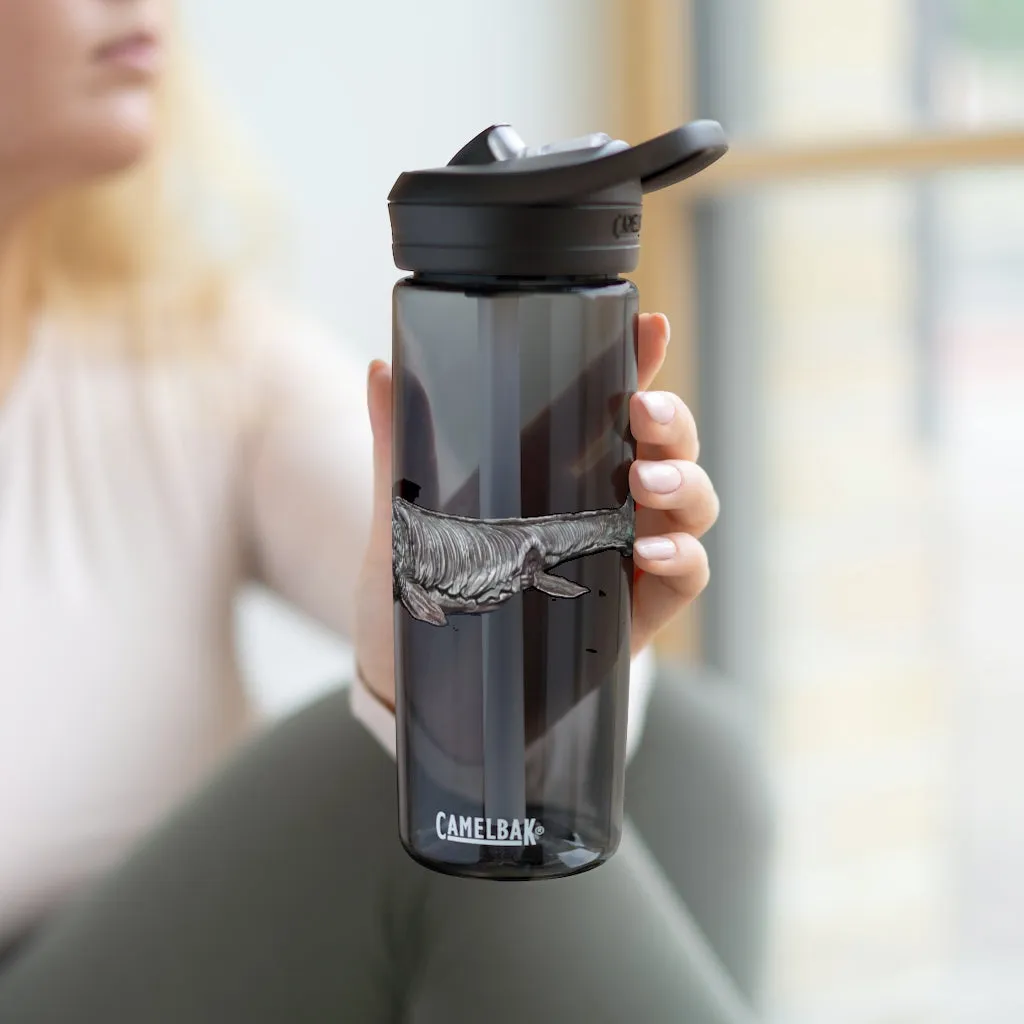 Dino Sea Creature CamelBak Eddy®  Water Bottle, 20oz / 25oz