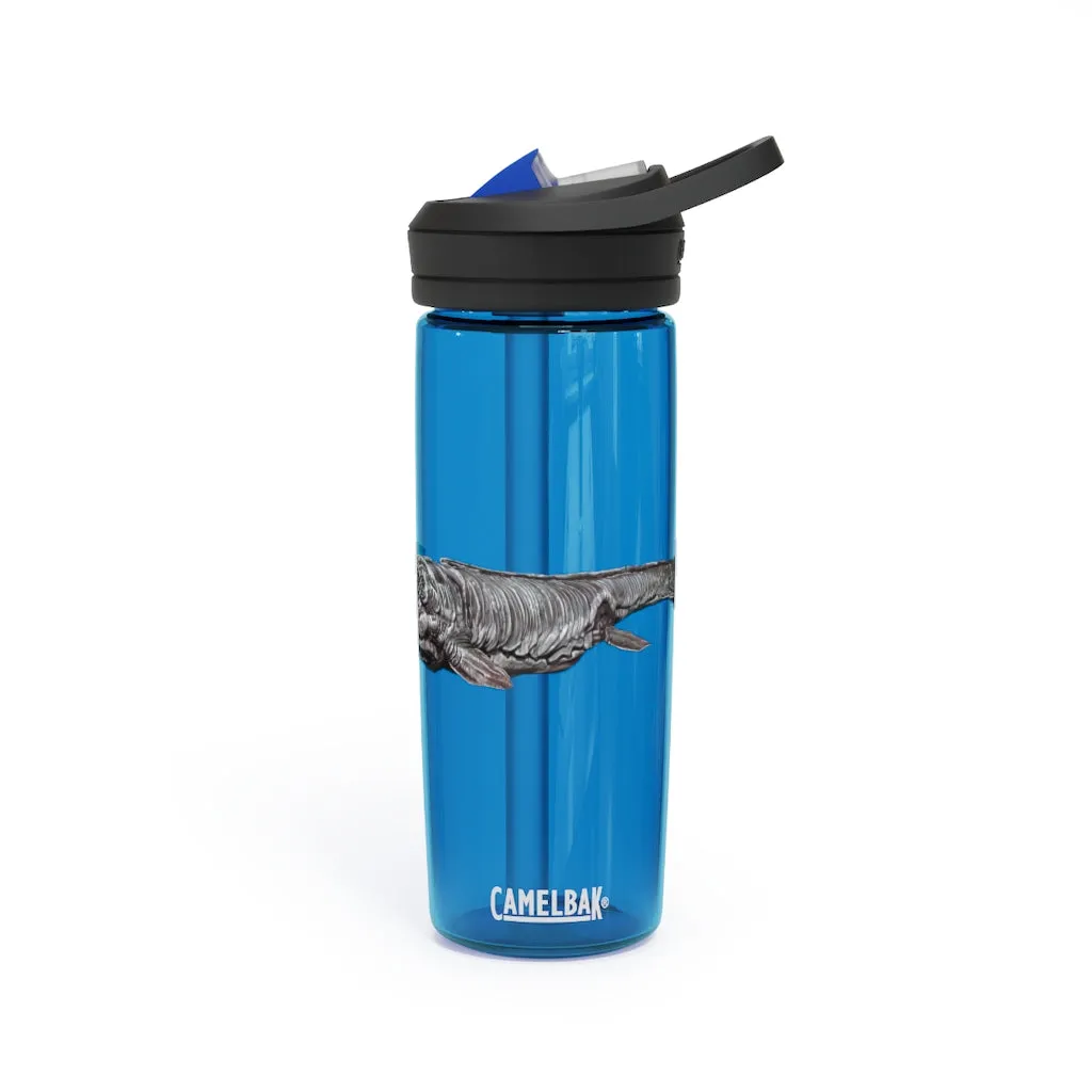 Dino Sea Creature CamelBak Eddy®  Water Bottle, 20oz / 25oz