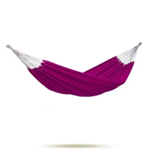 Florida Berry Hammock