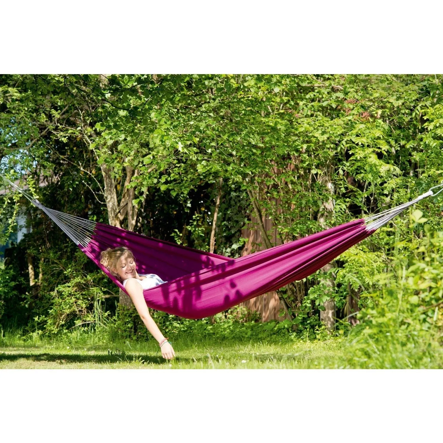 Florida Berry Hammock