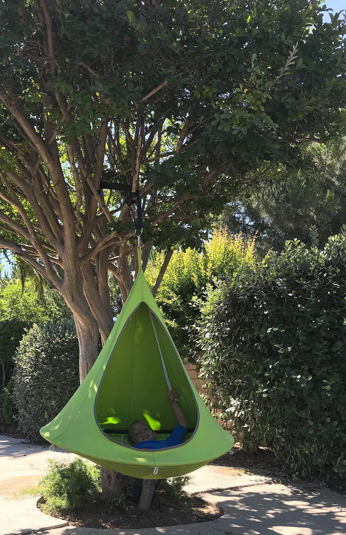 Hanging Tree Pod Hammock