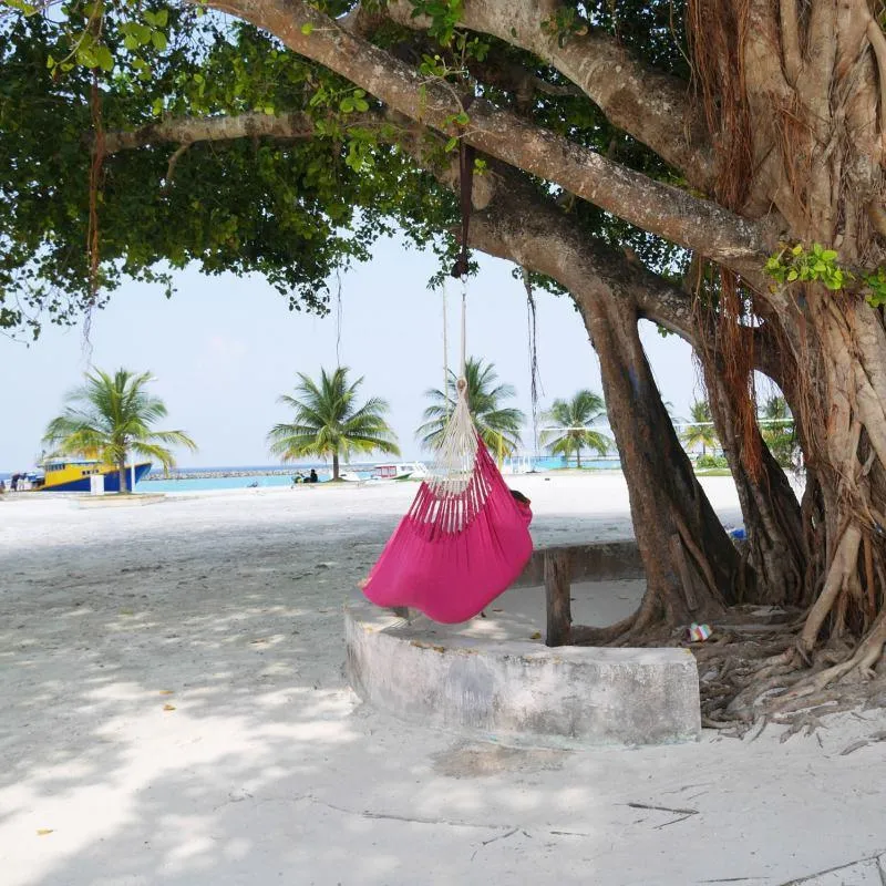 Knit Hanging Chair - Fuschia