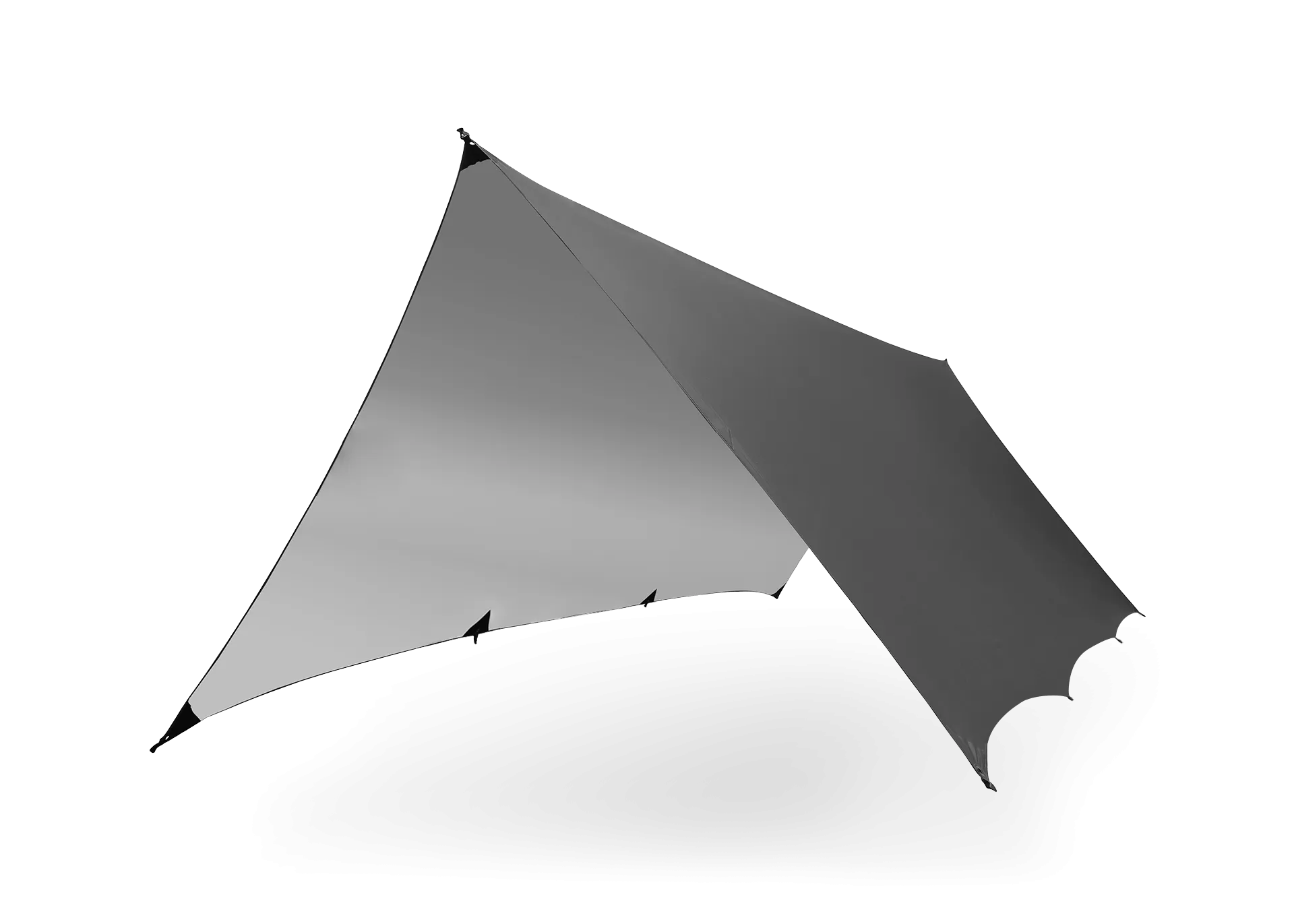Kuhli Pro