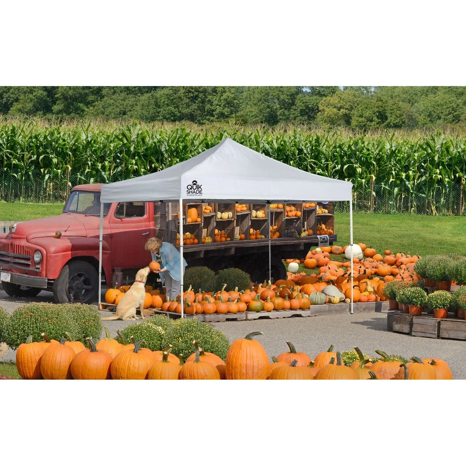 Quik Shade | Marketplace MP100 Ultra Compact 10 x 10 ft. Straight Leg Canopy - White