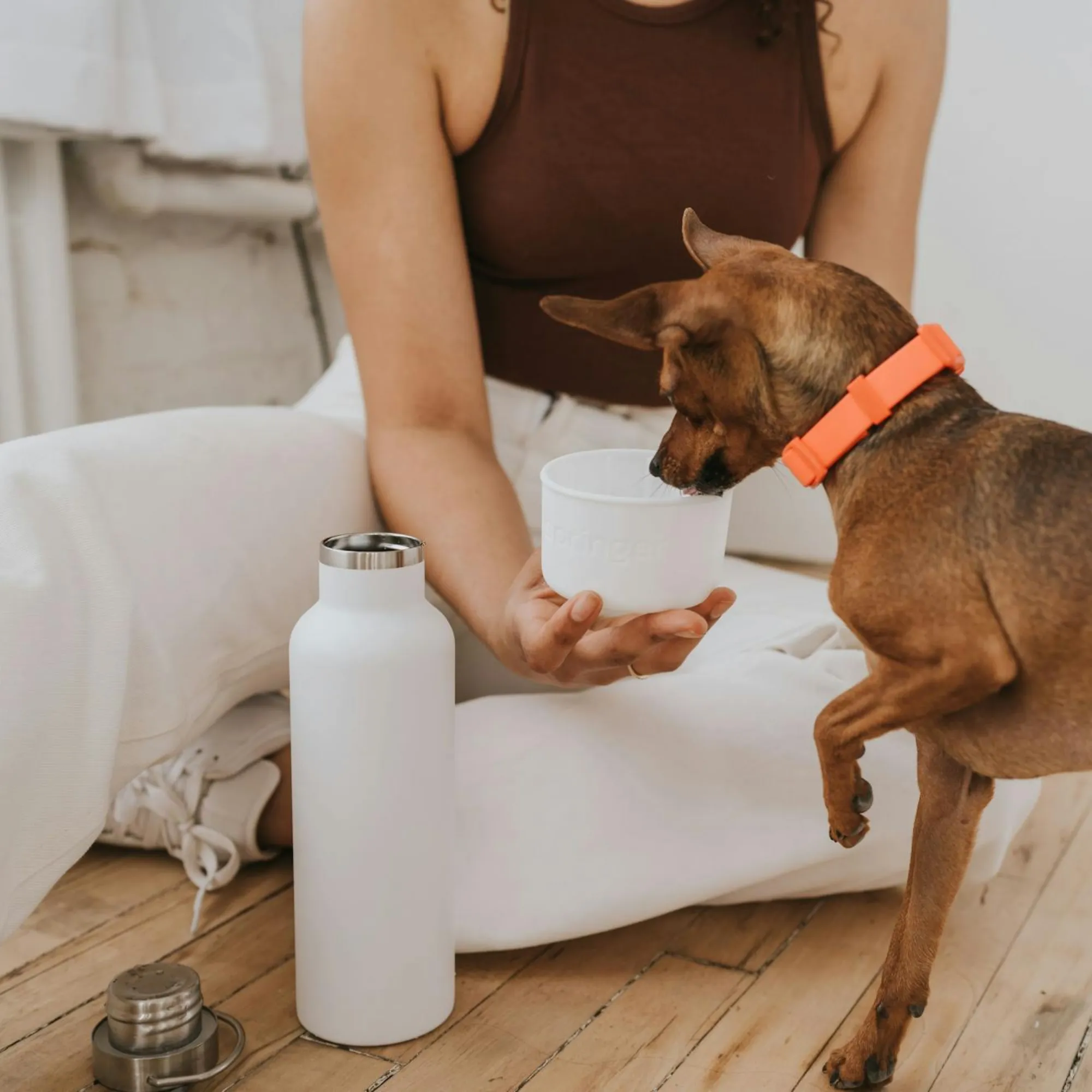 Springer Pets Dog & Me Insulated Water Bottle White
